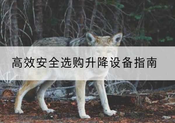 姚安升降货梯厂家推荐-*安全选购升降设备指南