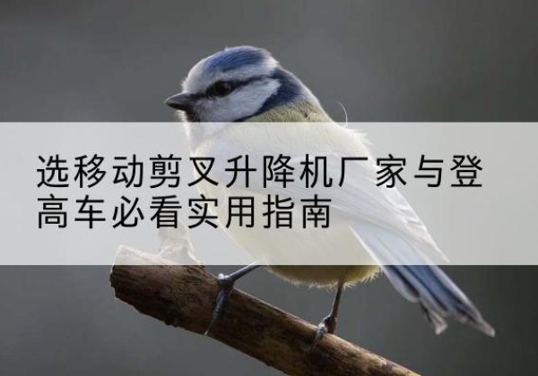 姚安电动升降机厂家-选移动剪叉升降机厂家与登高车必看实用指南