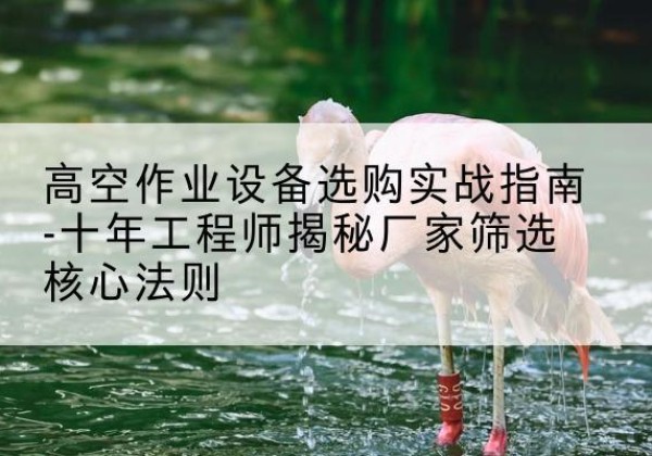 姚安剪叉式升降机厂家-高空作业设备选购实战指南-十年工程师揭秘厂家筛选核心法则